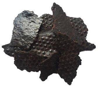 Kangaroo Liver Dog Treat 100g - The Dog Shop Warners Bay