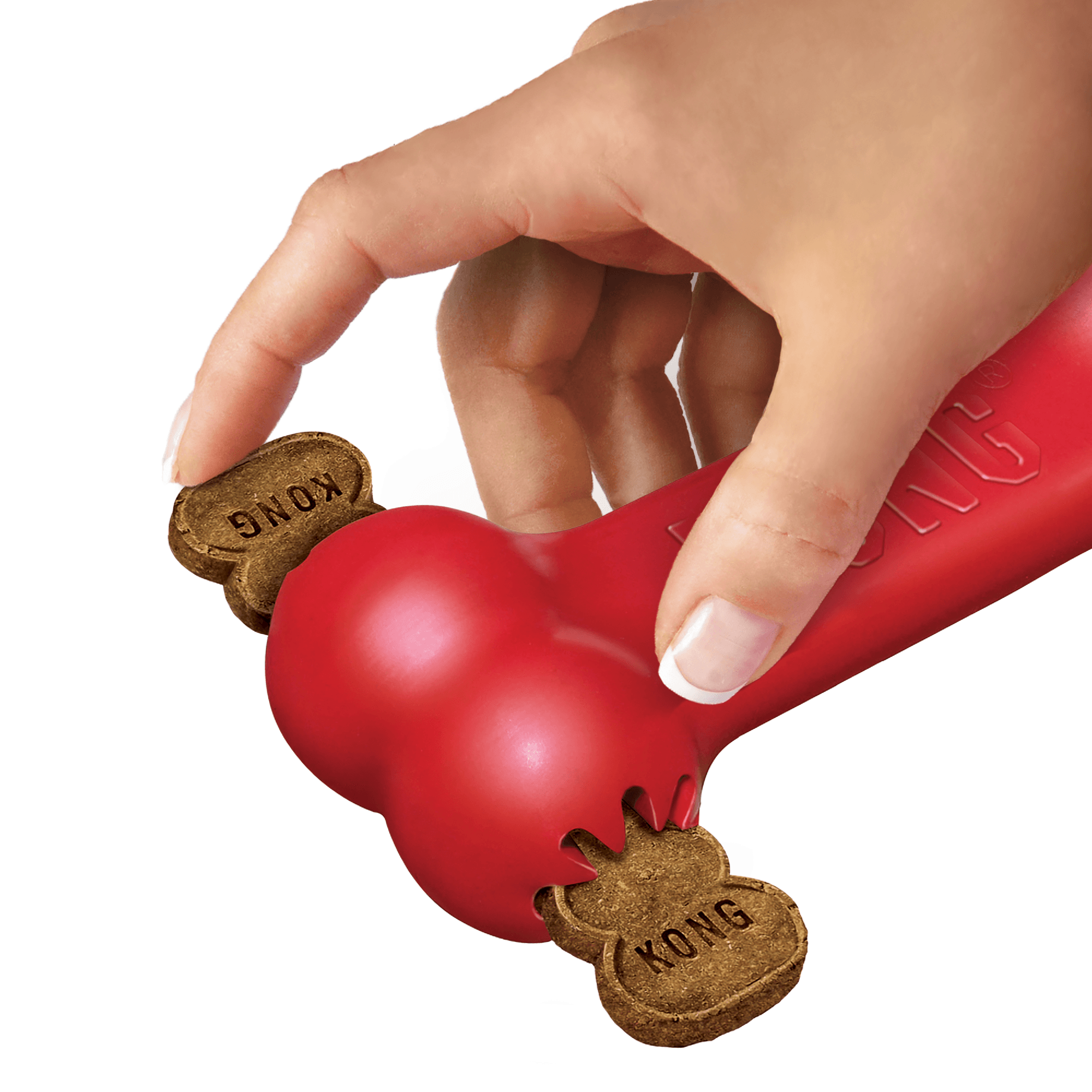 Kong Goodie Bone Small KB31 - The Dog Shop Warners Bay