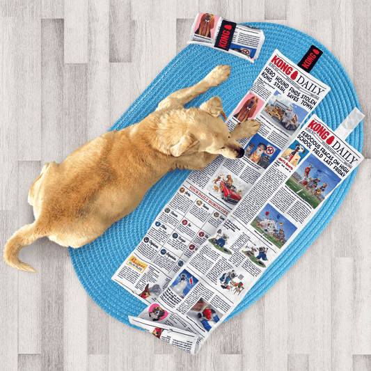 Kong Newspaper - The Dog Shop Warners Bay