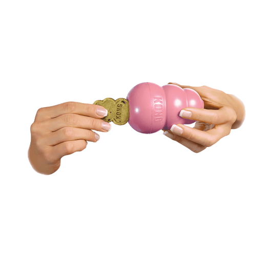 Kong Snacks Puppy - The Dog Shop Warners Bay