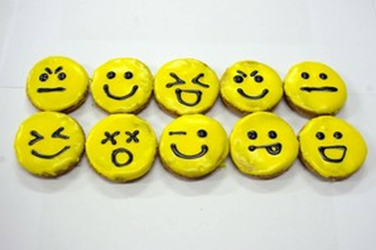 Puppy Emojis Gourmet Cookie Dog Treat - The Dog Shop Warners Bay