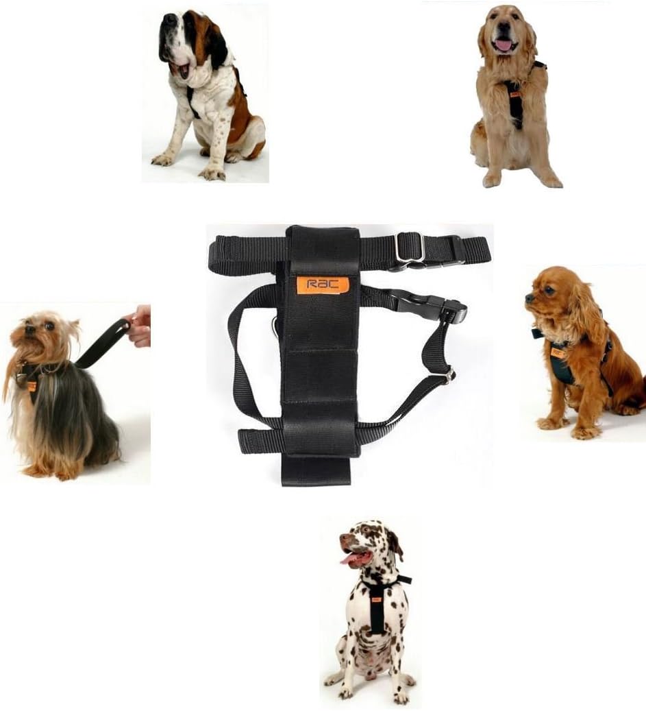 Rac Harness S