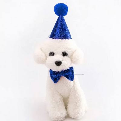 Glitter Party Hat & Bow Tie