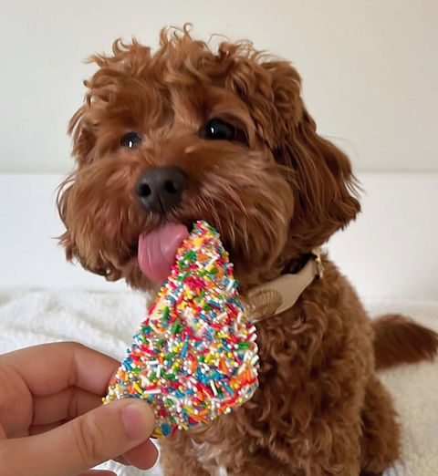 Pawfect Love Doggy Fairy Bread