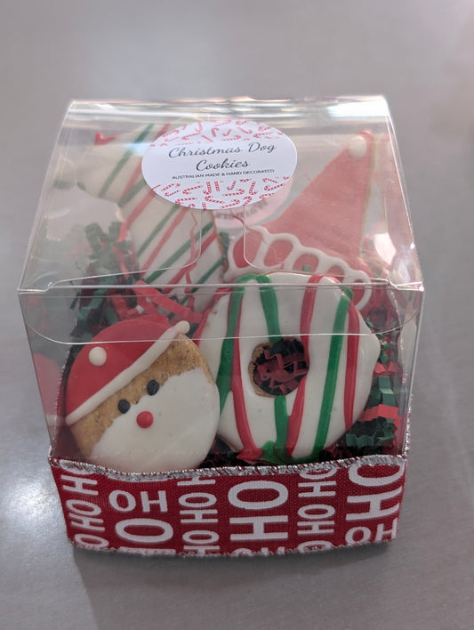 Clear box with Christmas-themed cookies on a gray background
