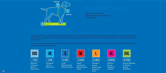 Rogz Safety Collar - The Dog Shop Warners Bay