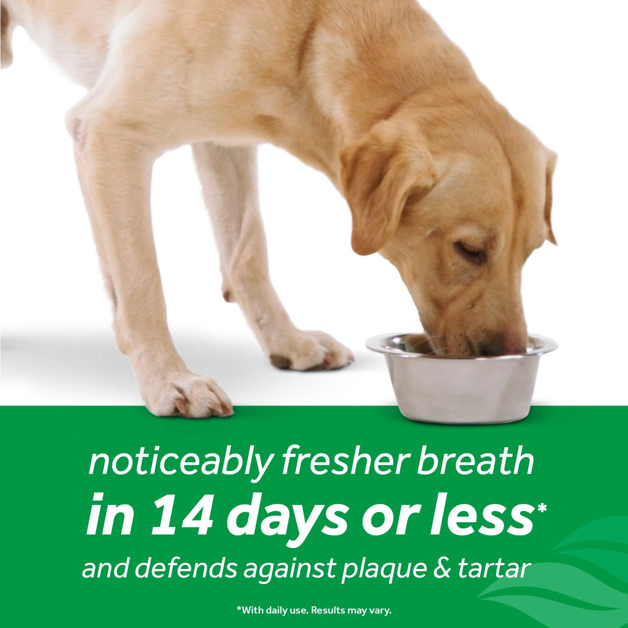 Tropiclean Fresh Breath Dental Trial Kit - The Dog Shop Warners Bay
