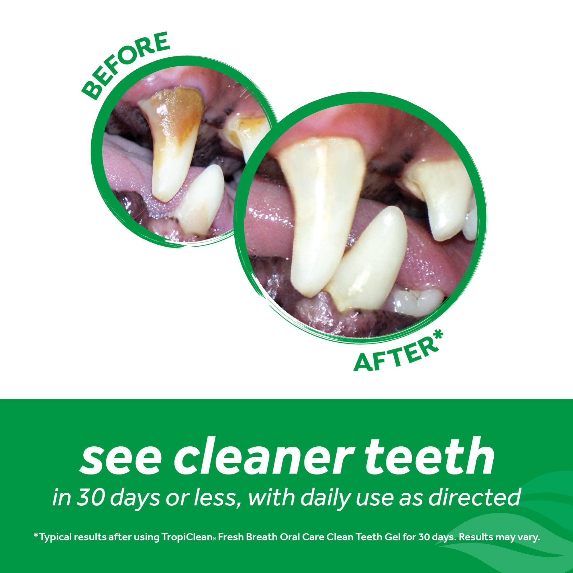 Tropiclean Fresh Breath Dental Trial Kit - The Dog Shop Warners Bay