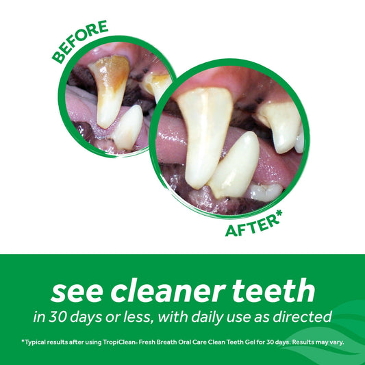 Tropiclean Fresh Breath Dental Trial Kit - The Dog Shop Warners Bay