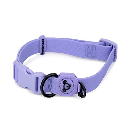 waterproof collar lavender purple