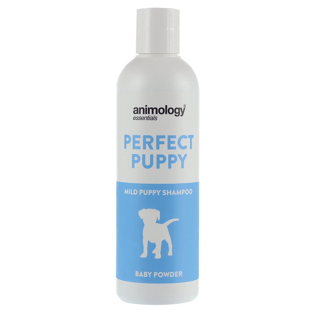 Animology Essentials Shampoo 250ml - The Dog Shop Warners BayAnimology Essentials Shampoo 250mlPerfect Puppy Shampoo