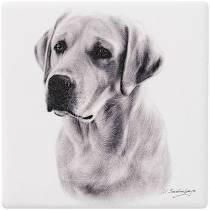 Ceramic Coaster Labrador - The Dog Shop Warners Bay