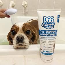 dgg 2 in 1 shampoo & conditioner 200ml