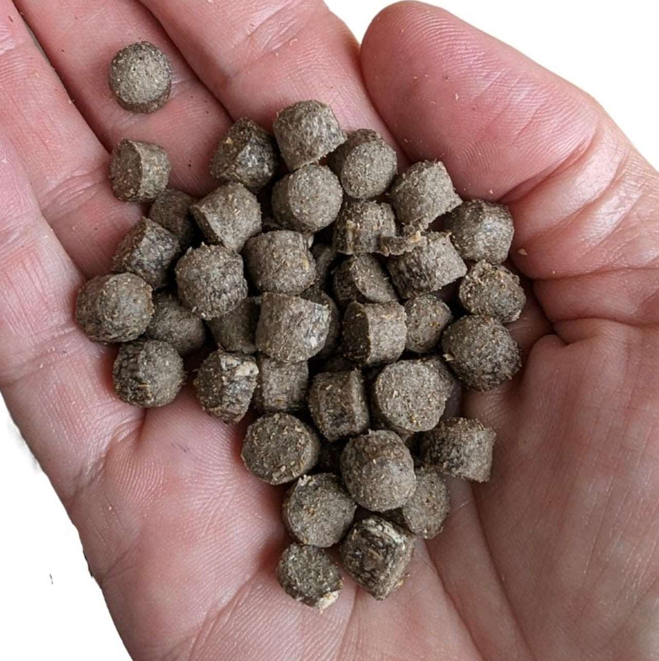 Little Insect Protein Bites 100g - The Dog Shop Warners Bay