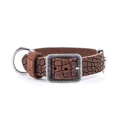 My Family Tucson Leather Collar - The Dog Shop Warners Bay