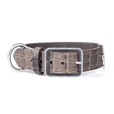 My Family Tucson Leather Collar - The Dog Shop Warners Bay